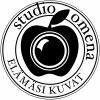leimasinlogo