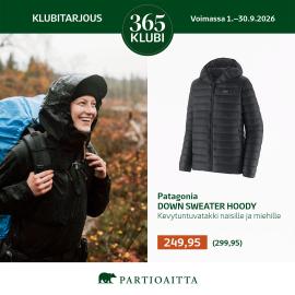 Patagonia Down Sweater Hoody